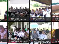 Pemkab Lamsel Ikuti Panen Raya Padi Secara Serentak Di 14 Provinsi Yang Dibuka Langsung Oleh Presiden Secara Virtual