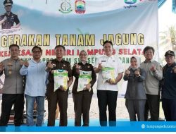 Bupati Lamsel Serta Jajaran Kejaksaan Lakukan Tanam Benih Jagung Perdana Dalam Program Ketahanan Pangan Nasional