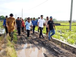 Bupati Egi Turun ke Sawah! Janji Tuntaskan Jalan Tani yang Terbengkalai Puluhan Tahun