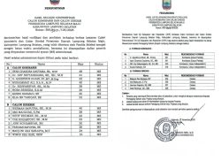 Fakta Menarik Di Seleksi Calon Komisaris Dan Direksi BUMD Lampung Selatan Maju