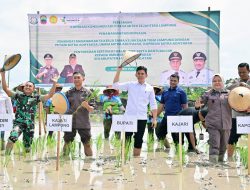 Pemkab Lamsel Dan Kejati Lampung Dorong Ketahanan Pangan Dengan Ekpansi Padi Biosalin