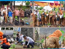 Sesuai Dengan Surat Edaran Bupati Lamsel 5.792 Pegawai PPPK Paruh Waktu Tanam Pohon Di lingkungan Kerja