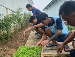 Dukung Program Kemenpas Lapas Kelas II Kalianda Ajak Warga Binaan Tanam Pakcoy Untuk Ketahanan Pangan